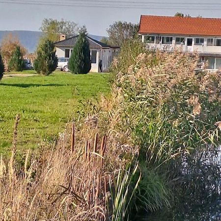 La Izvoare Pensiune-Păstrăvărie Sîmbăta de Sus Cameră foto