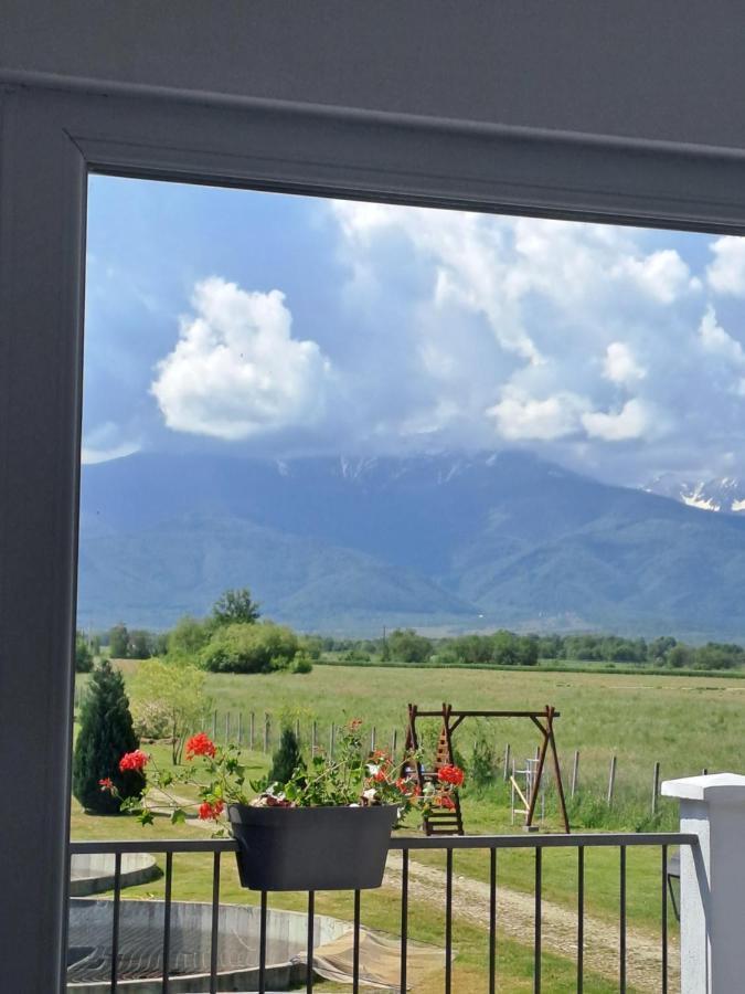 La Izvoare Pensiune-Păstrăvărie Sîmbăta de Sus Exterior foto