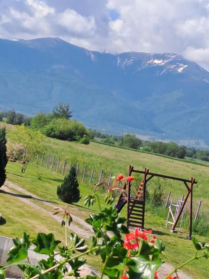 La Izvoare Pensiune-Păstrăvărie Sîmbăta de Sus Exterior foto