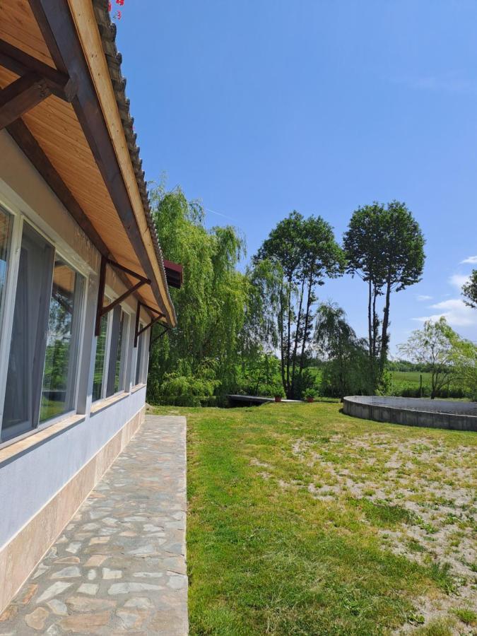 La Izvoare Pensiune-Păstrăvărie Sîmbăta de Sus Exterior foto