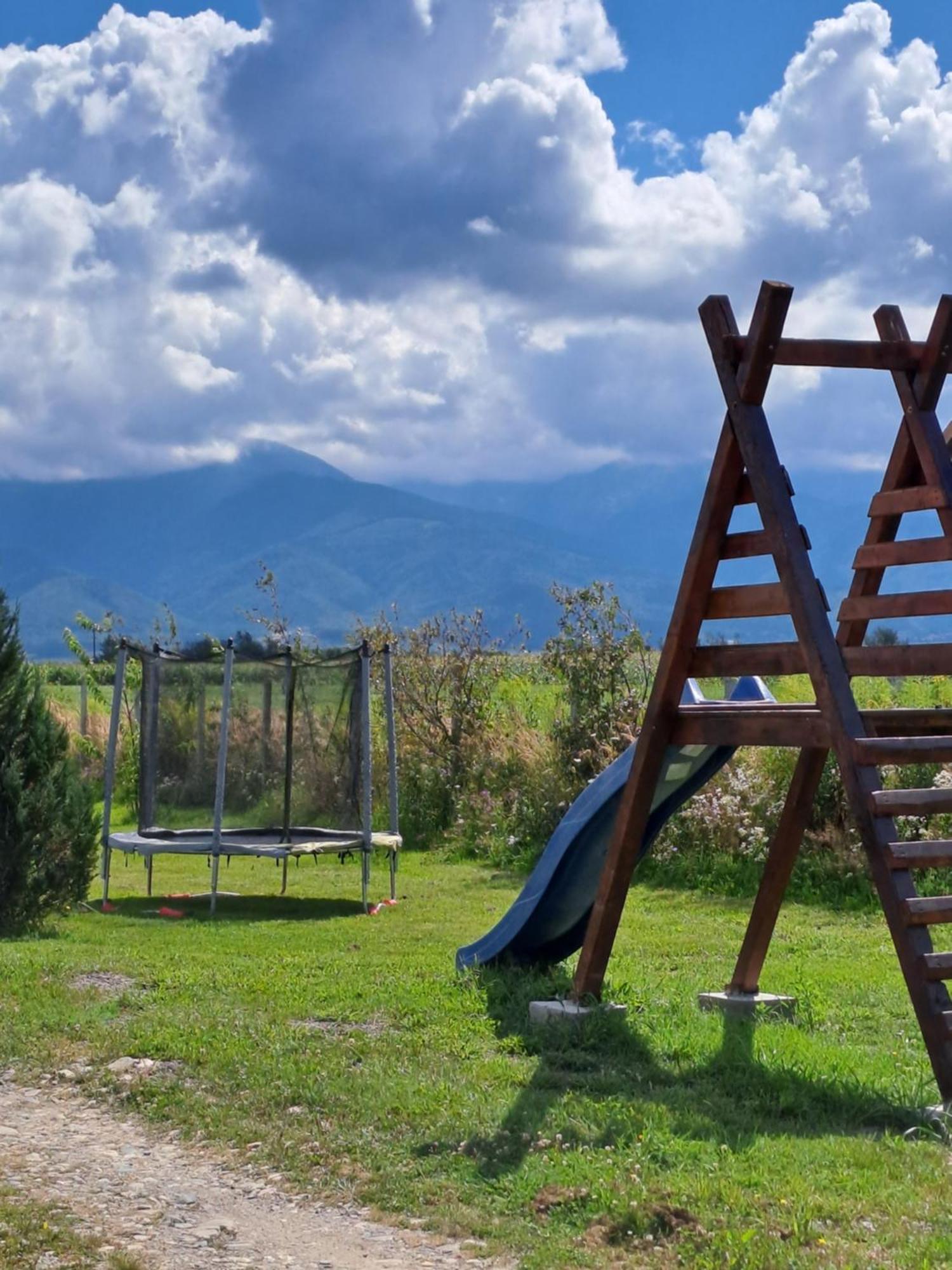 La Izvoare Pensiune-Păstrăvărie Sîmbăta de Sus Exterior foto