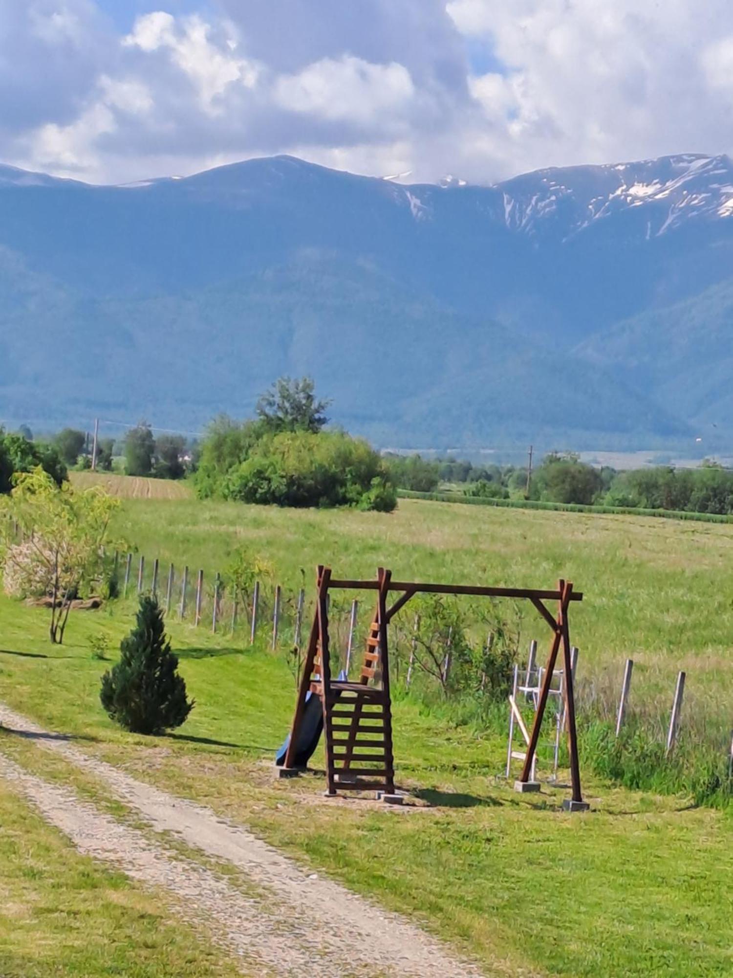 La Izvoare Pensiune-Păstrăvărie Sîmbăta de Sus Exterior foto