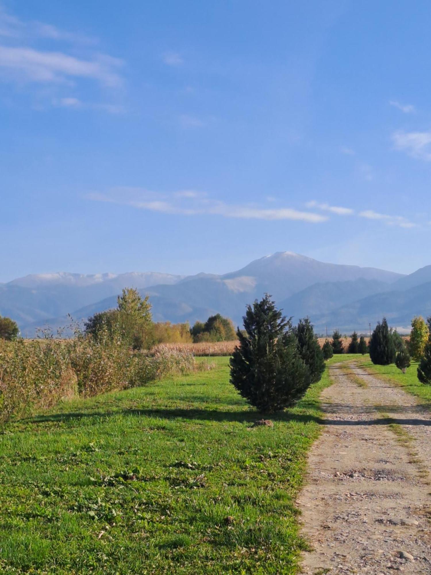 La Izvoare Pensiune-Păstrăvărie Sîmbăta de Sus Exterior foto