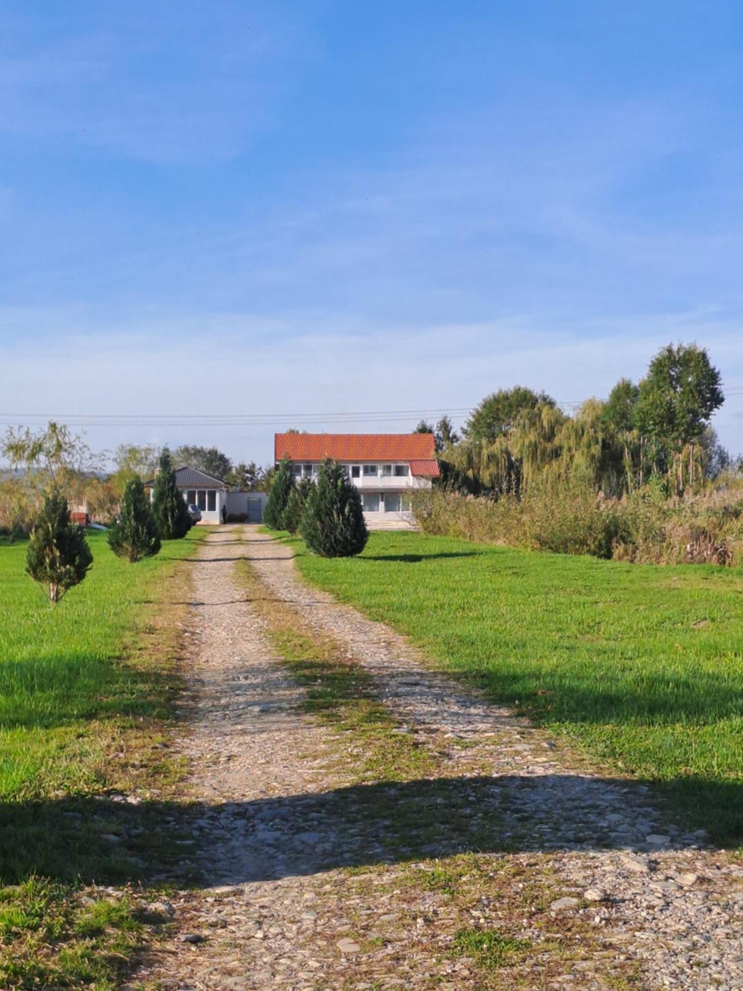 La Izvoare Pensiune-Păstrăvărie Sîmbăta de Sus Exterior foto