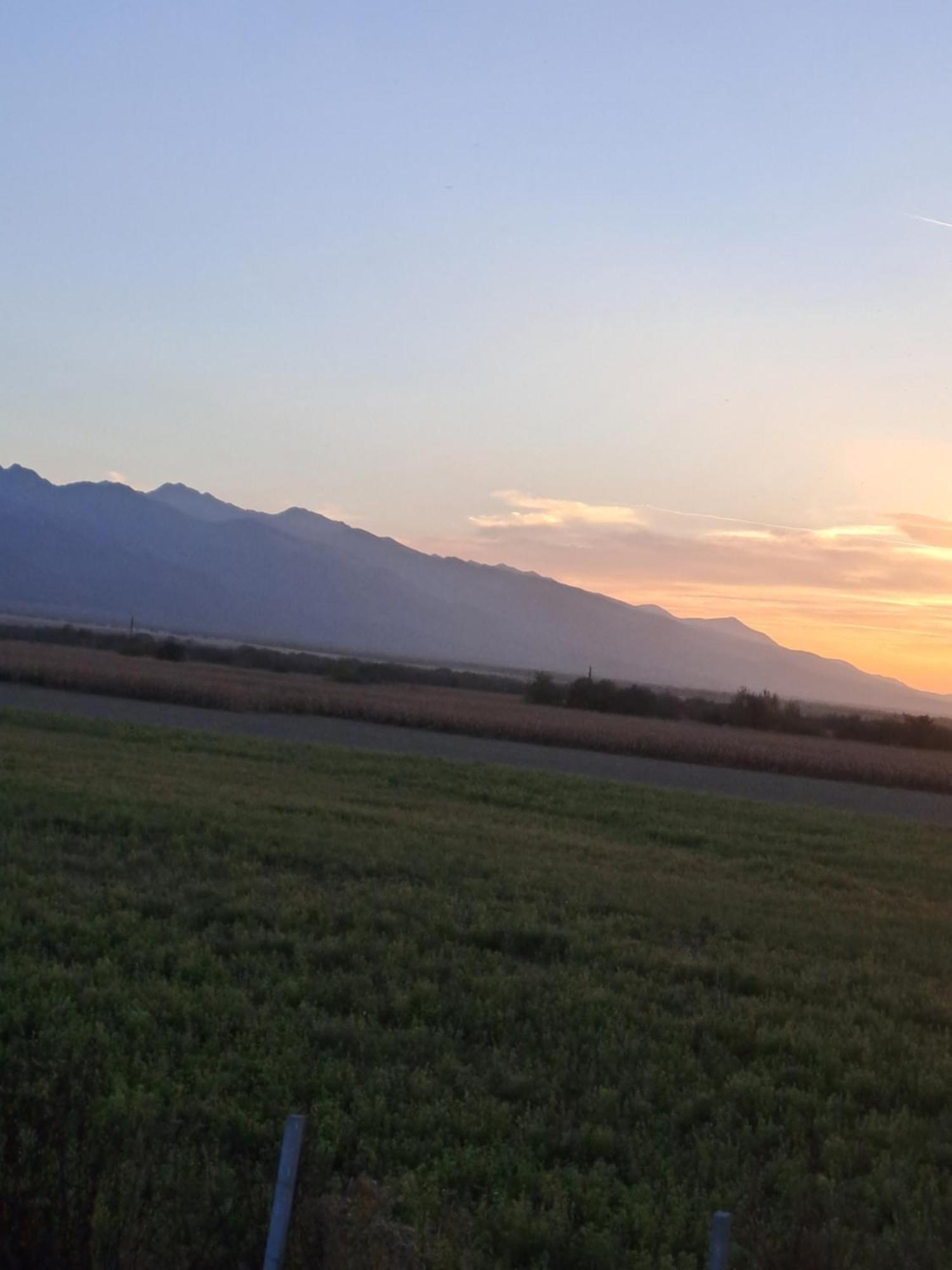 La Izvoare Pensiune-Păstrăvărie Sîmbăta de Sus Exterior foto