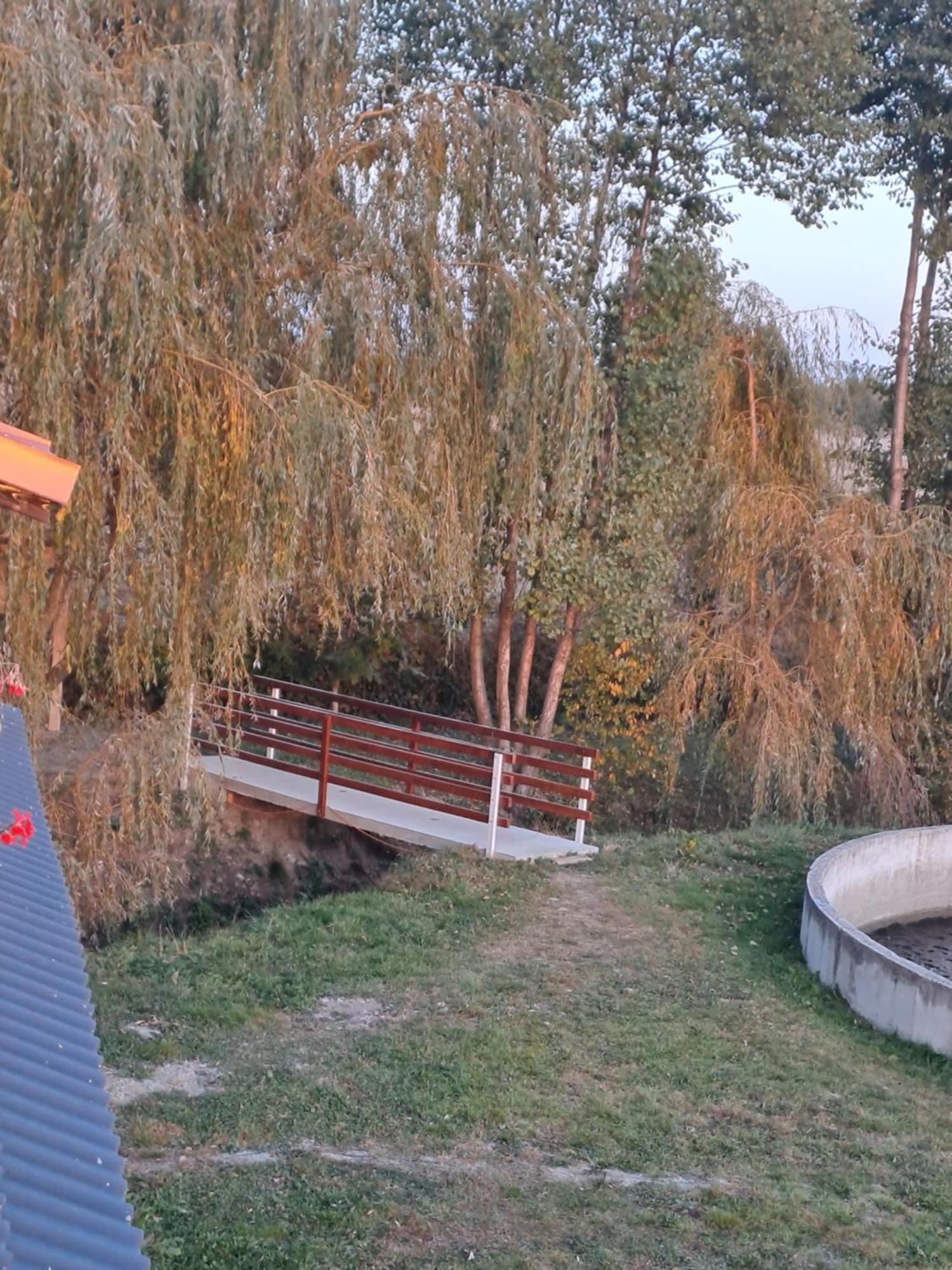 La Izvoare Pensiune-Păstrăvărie Sîmbăta de Sus Exterior foto