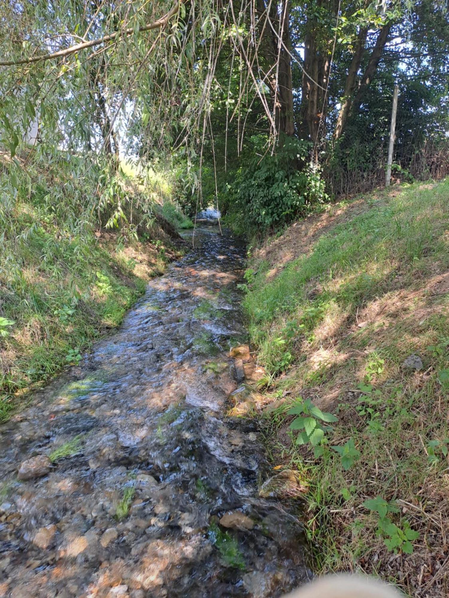 La Izvoare Pensiune-Păstrăvărie Sîmbăta de Sus Exterior foto
