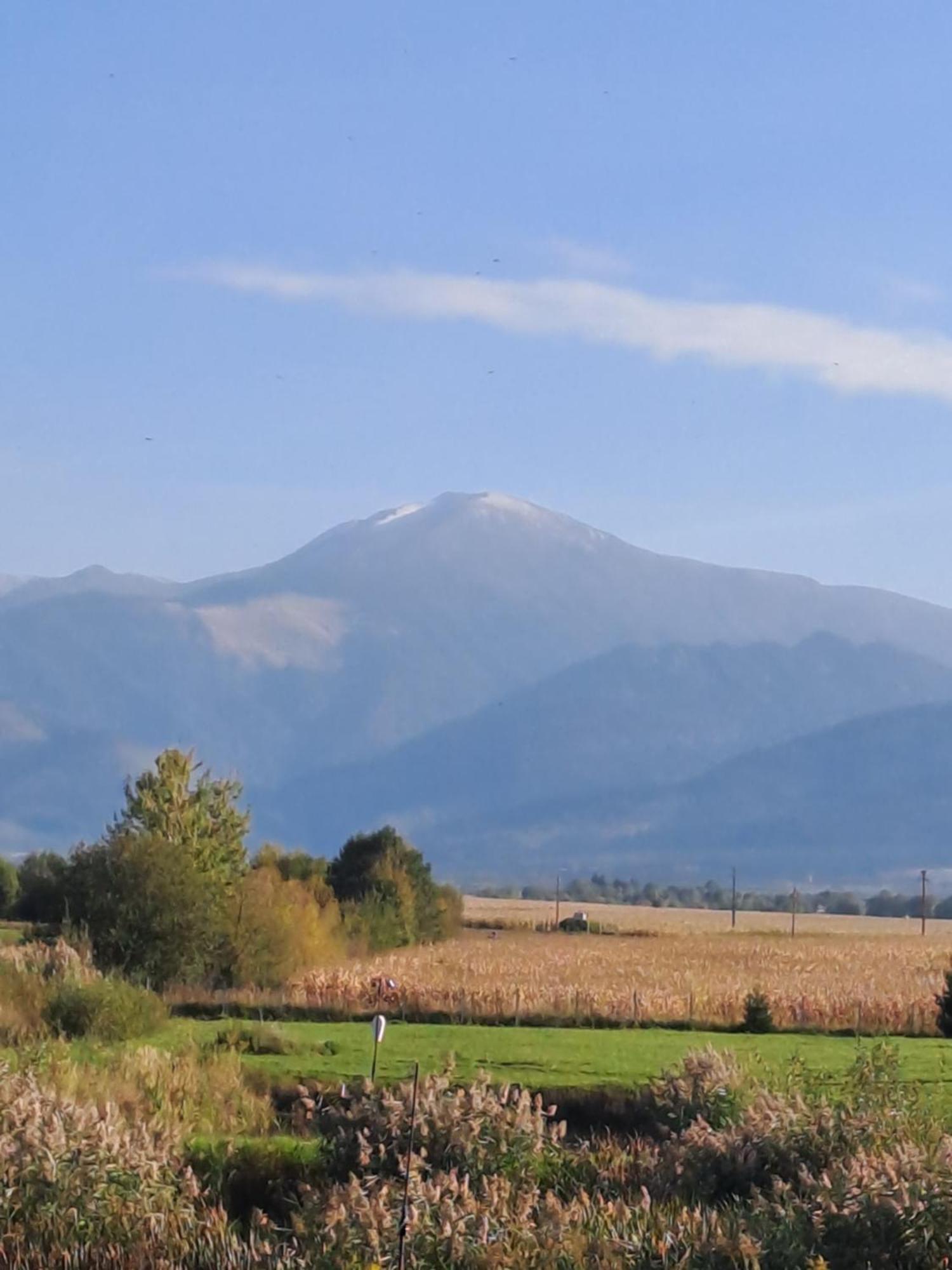 La Izvoare Pensiune-Păstrăvărie Sîmbăta de Sus Cameră foto