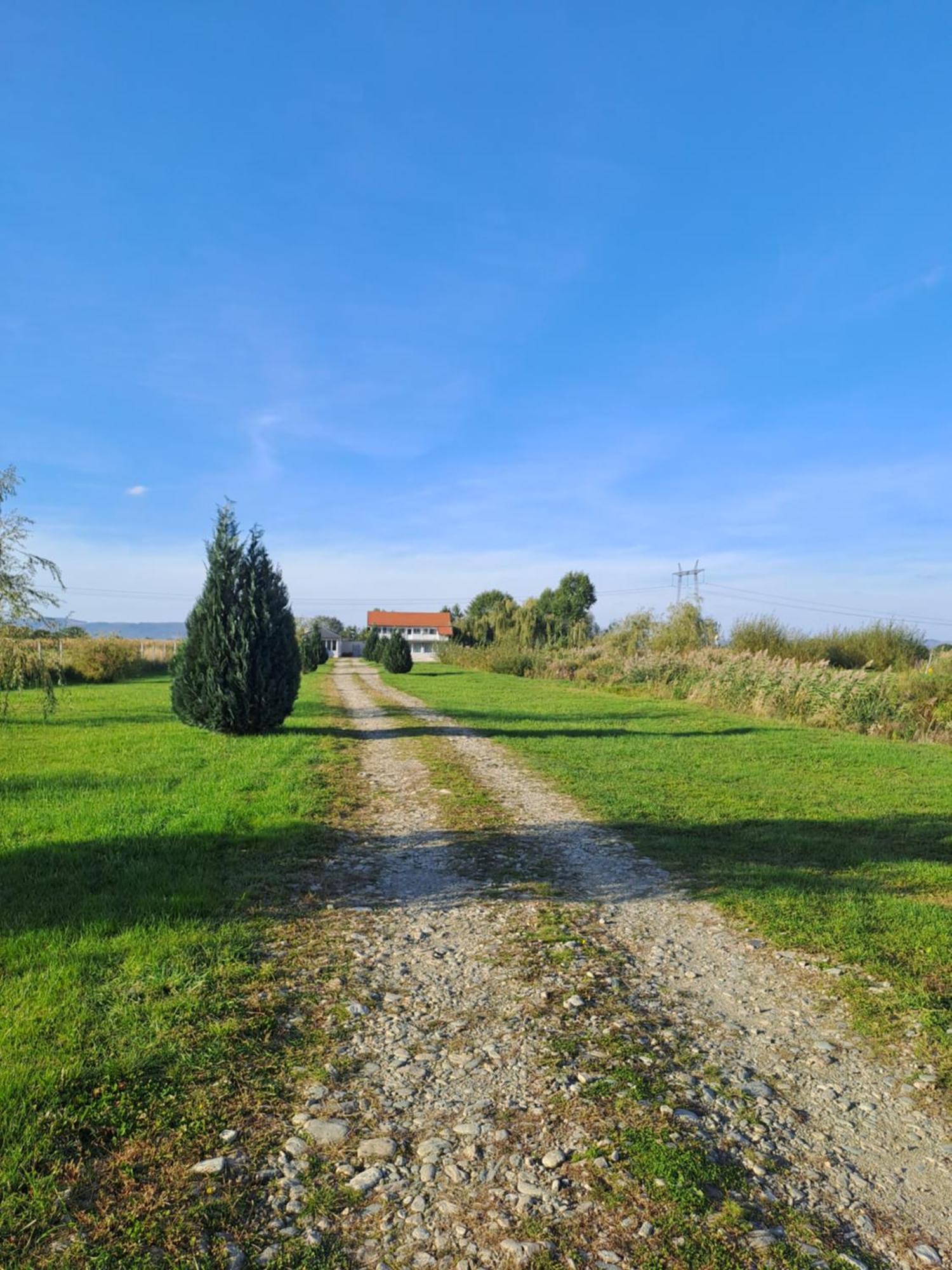 La Izvoare Pensiune-Păstrăvărie Sîmbăta de Sus Cameră foto