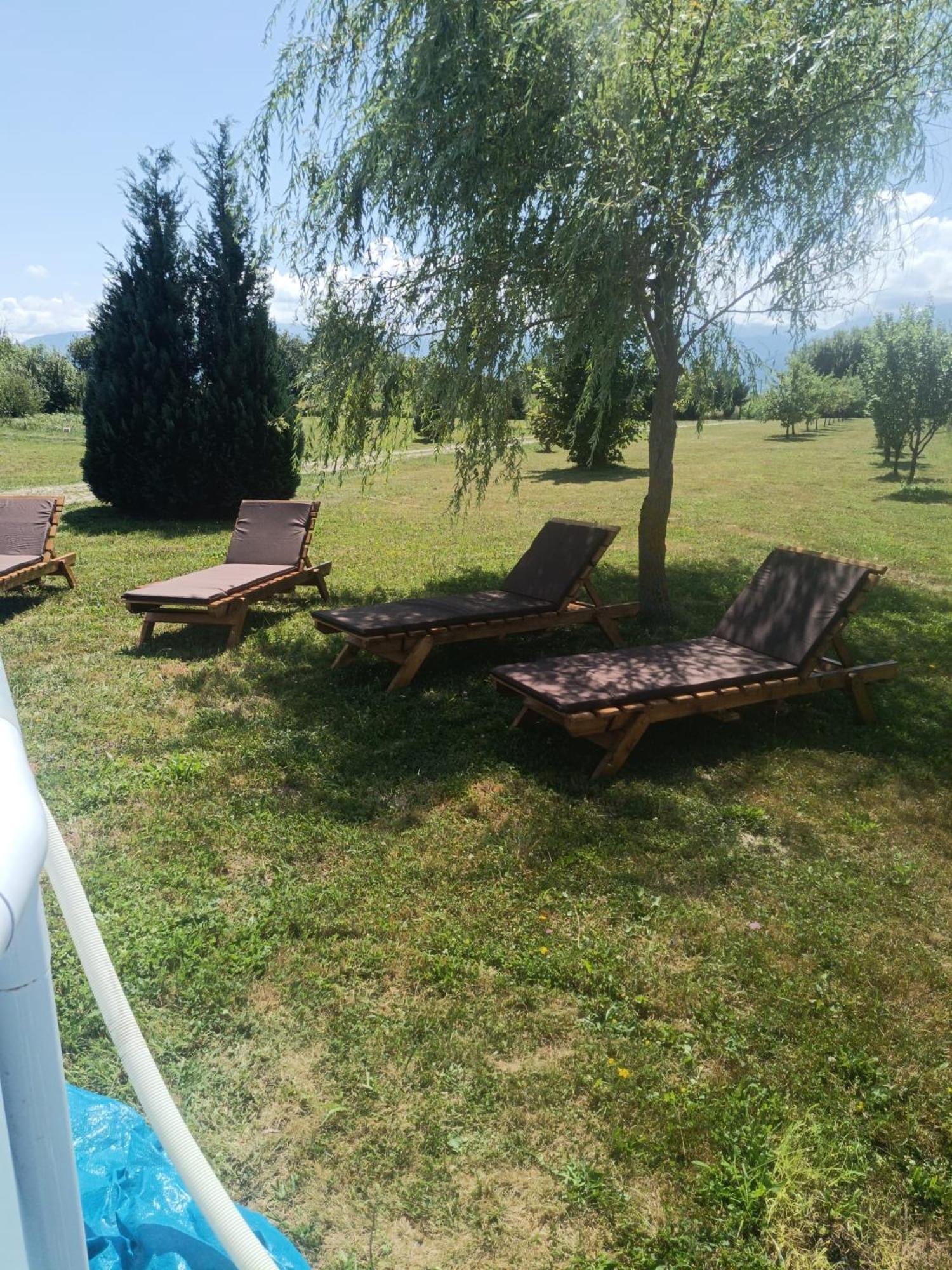 La Izvoare Pensiune-Păstrăvărie Sîmbăta de Sus Exterior foto