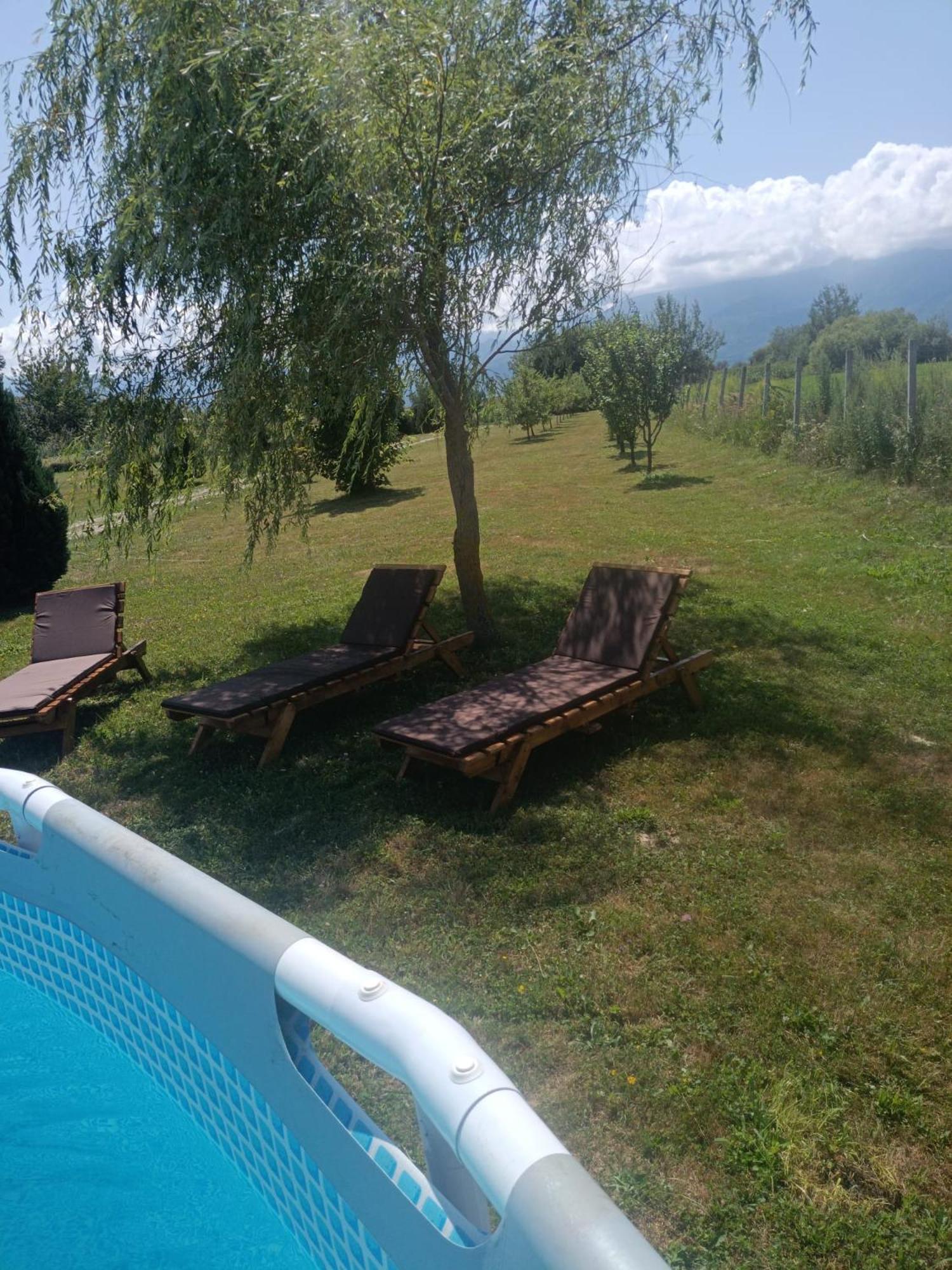 La Izvoare Pensiune-Păstrăvărie Sîmbăta de Sus Exterior foto